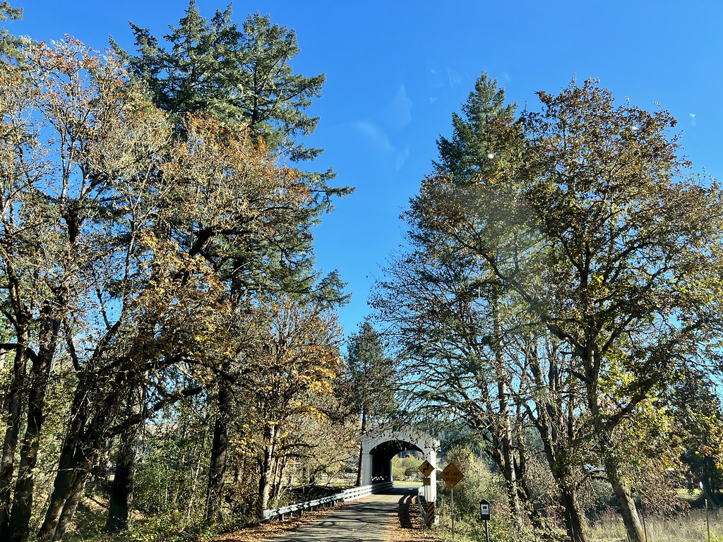 Marcola, Oregon. November 2022 drburtoni Flickr