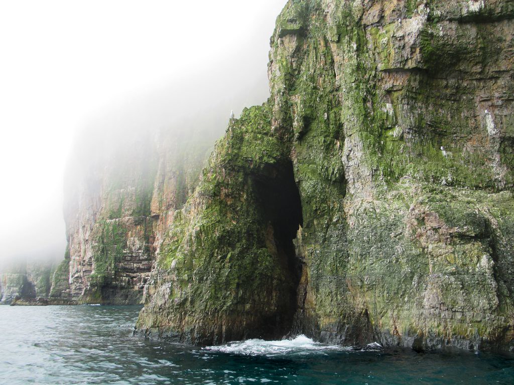Bear Island Bear Island (Bjørnøya), Svalbard, Norway, got … Flickr