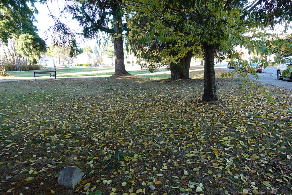 Fall is here McLean Park, Garden Village, Burnaby, … Flickr