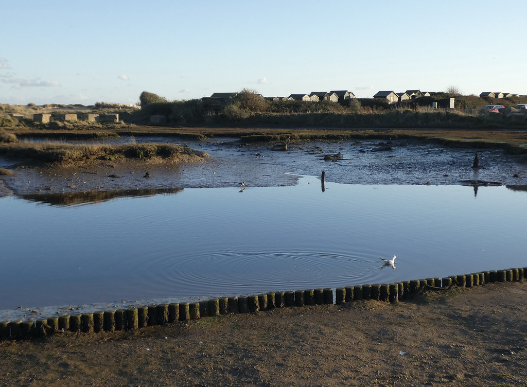 Dunwich River at Walberswick. This river used to enter the… Flickr