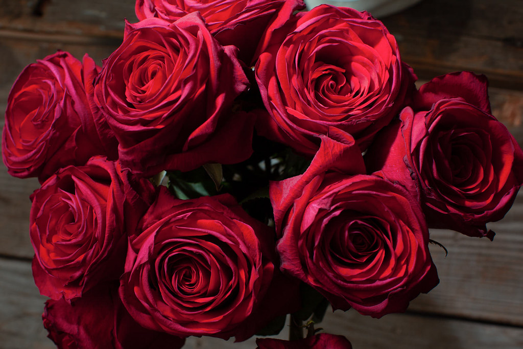 PRODUCT Vase of Roses PRODUCT Vase of Roses Flickr