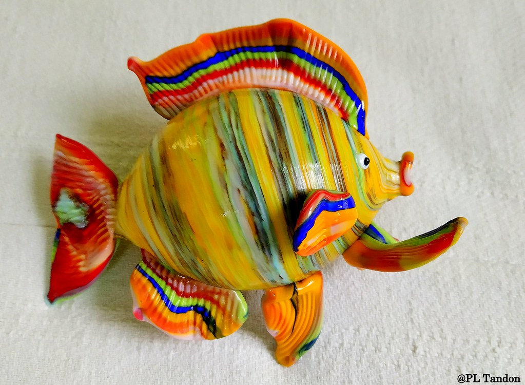 Decorative Glass Fish Multicolor Decorative Glass Fish Flickr