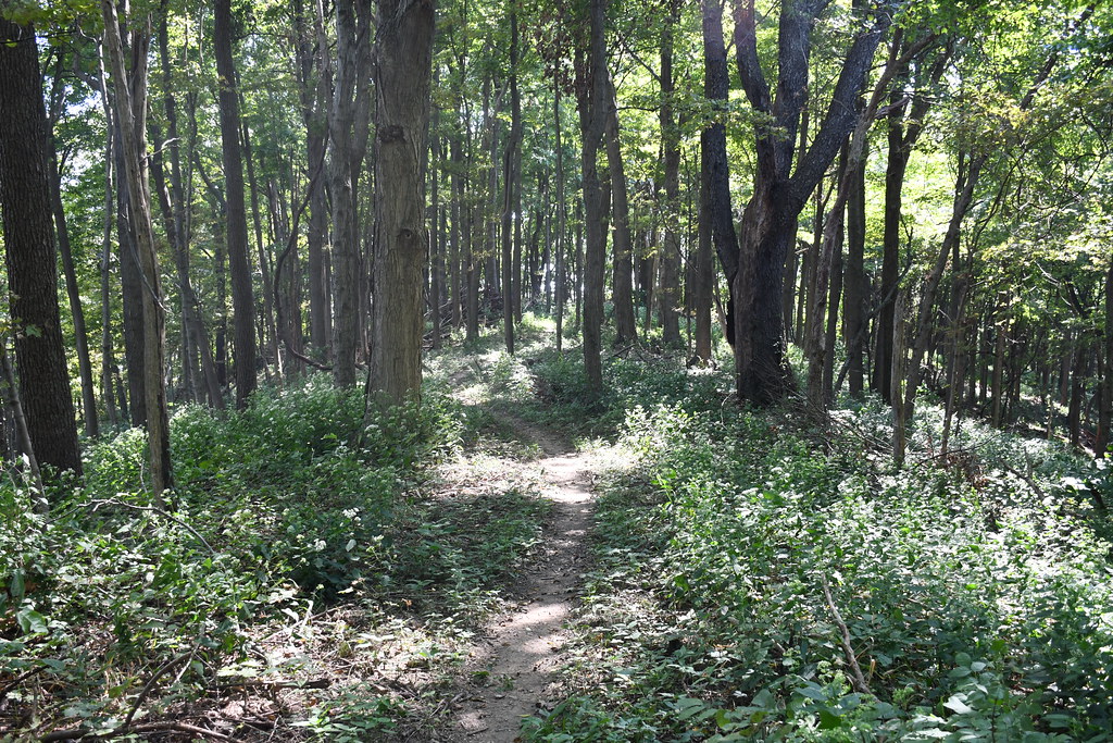 Bunker Hill Ridge Top Trail, Great Seal State Park, near C… Flickr