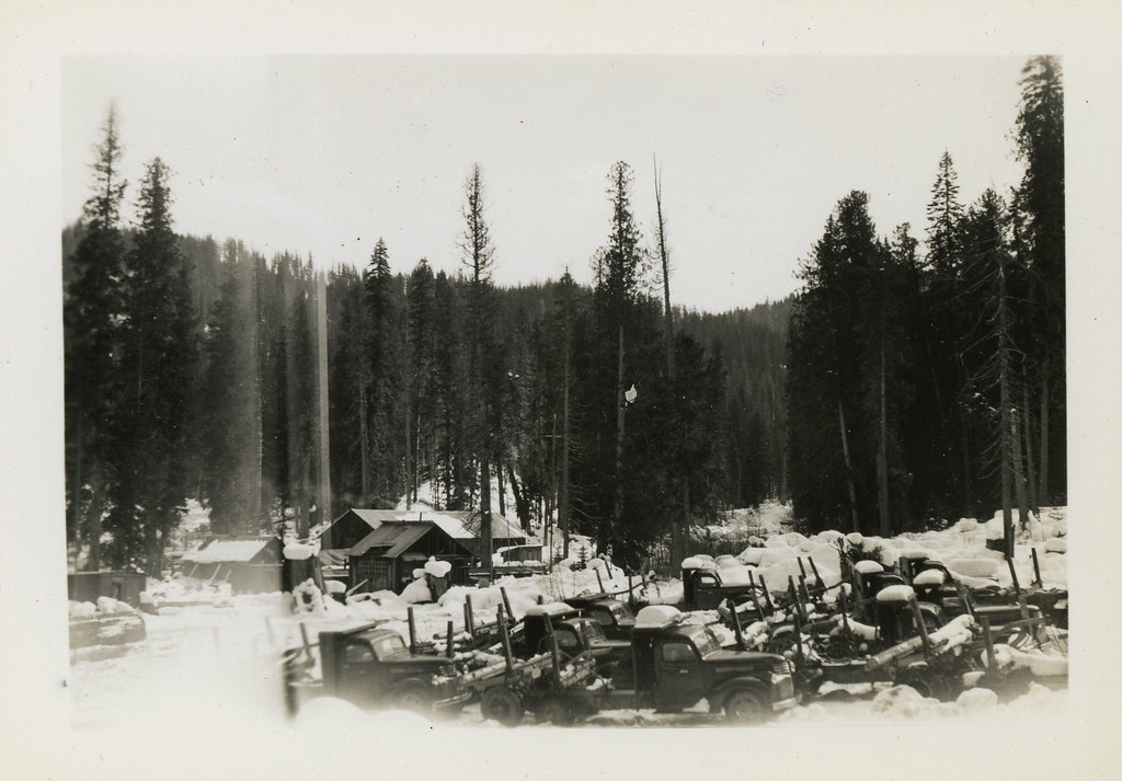 Camp 14, Potlatch Forests, Inc., 1941 Headquarters, Idah… Flickr