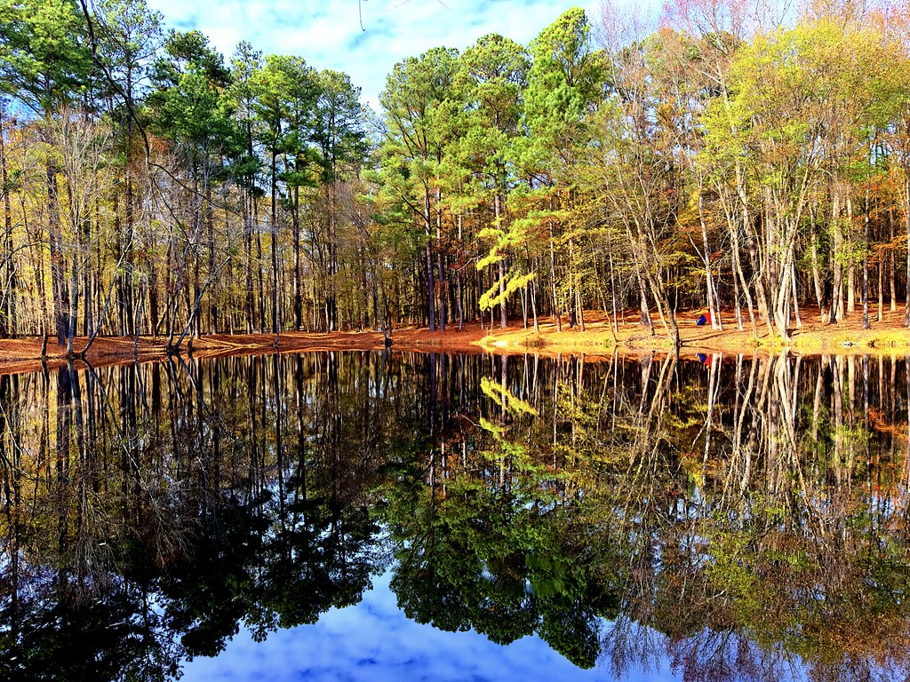 Knightdale, NC Environmental Park. Knightdale Environmenta… Flickr