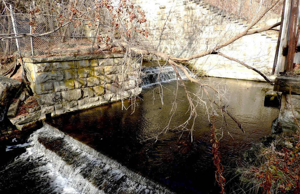 Fallen Tree over Spencer Creek at Dundas Falls If you look… Flickr