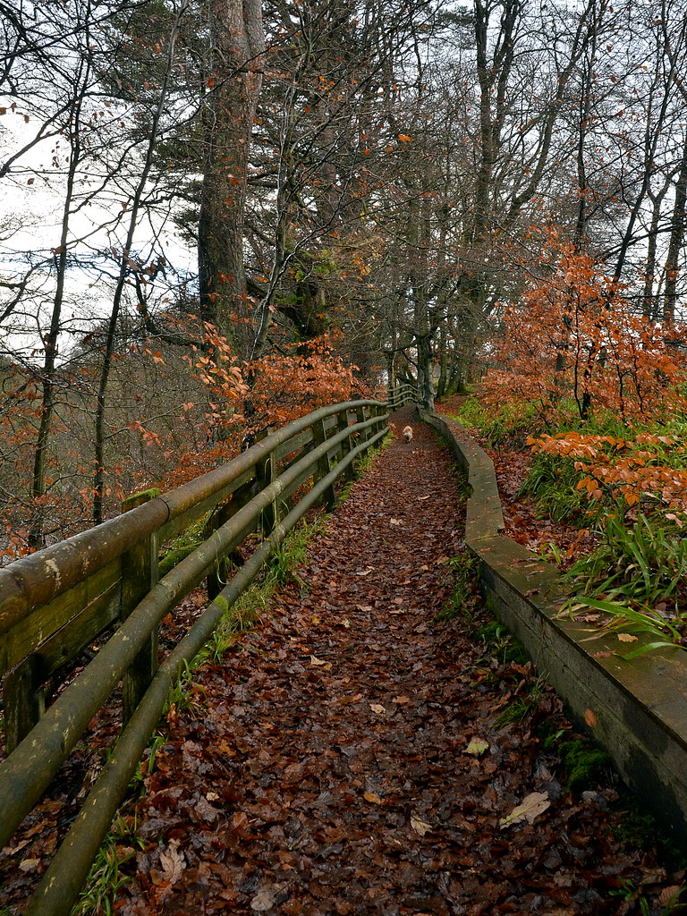 Autumn Calderglen Park East Kilbride James Brown Flickr