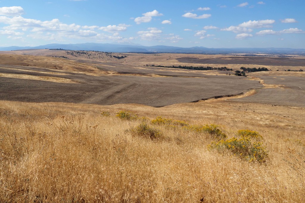 North of Dufur, Oregon October 2, 2022 Eclectic Jack Flickr