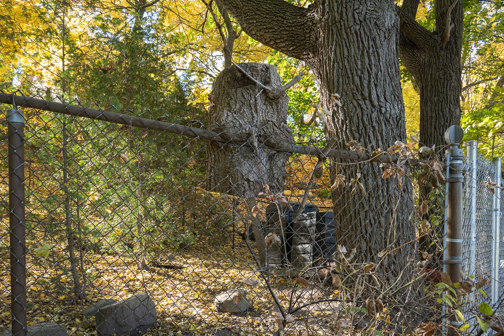 Toronto, Cedarvale Park Karl Vigelius Flickr