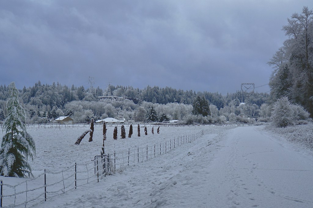 DSC02570 Machias, WA Oxbow_Lebach Flickr