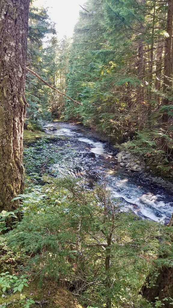 Brandywine Falls trail, Whistler, BC, Canada Cindy Zheng Flickr
