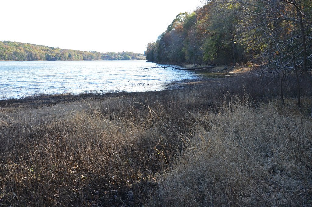 lakealma41 Lucas Parsch Flickr