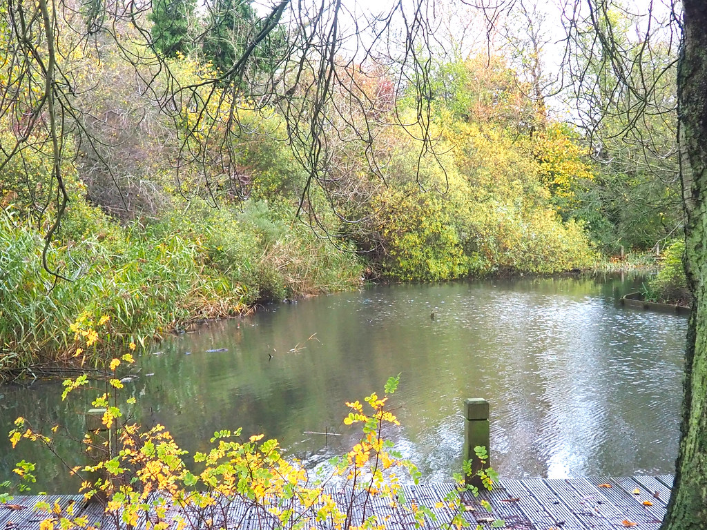 Ward Jackson Park, Hartlepool Named after one of the town’… Flickr