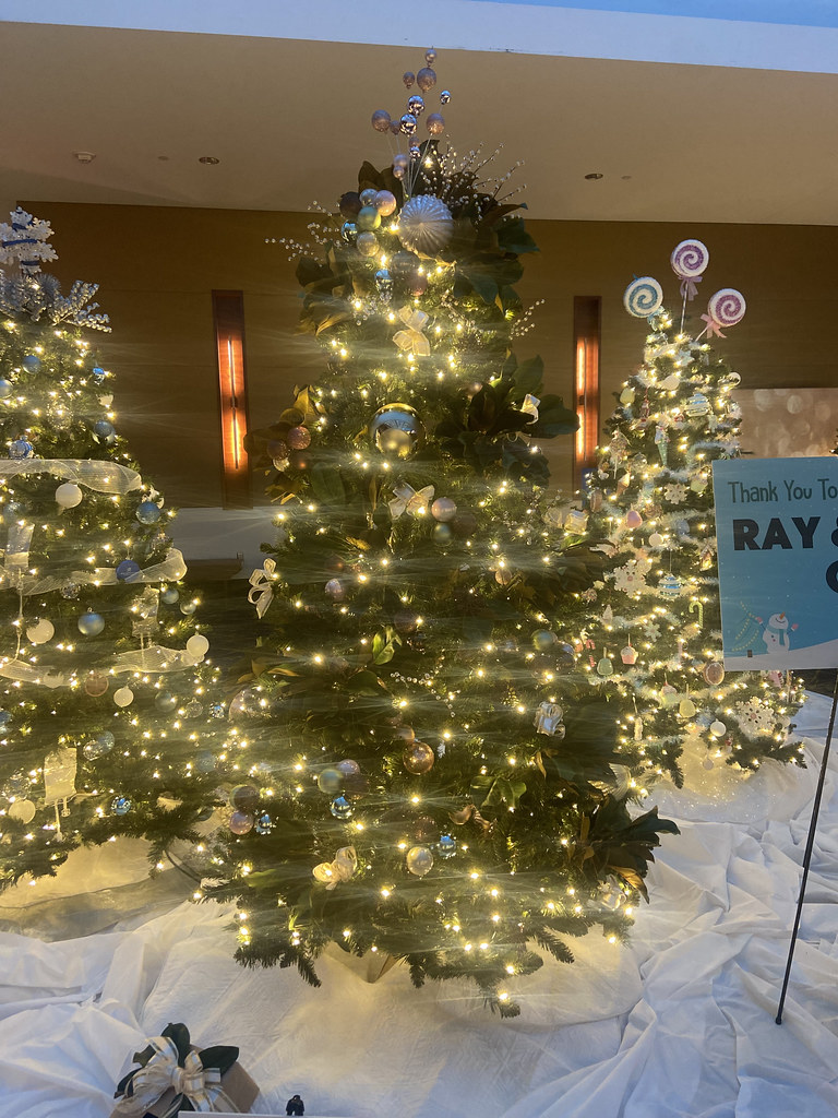 Steel Magnolias Decorated by Jeff & Trish Back and Dean & … Flickr