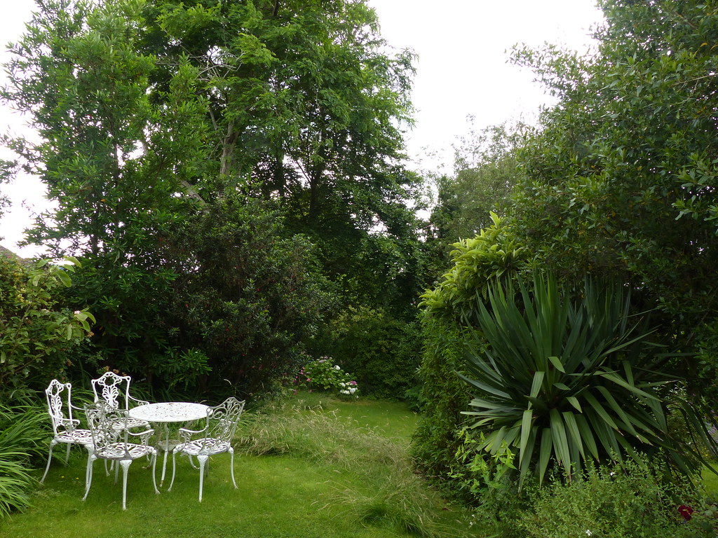 P1220044 21 Beechwood garden July 2021 Jeff Collman Flickr