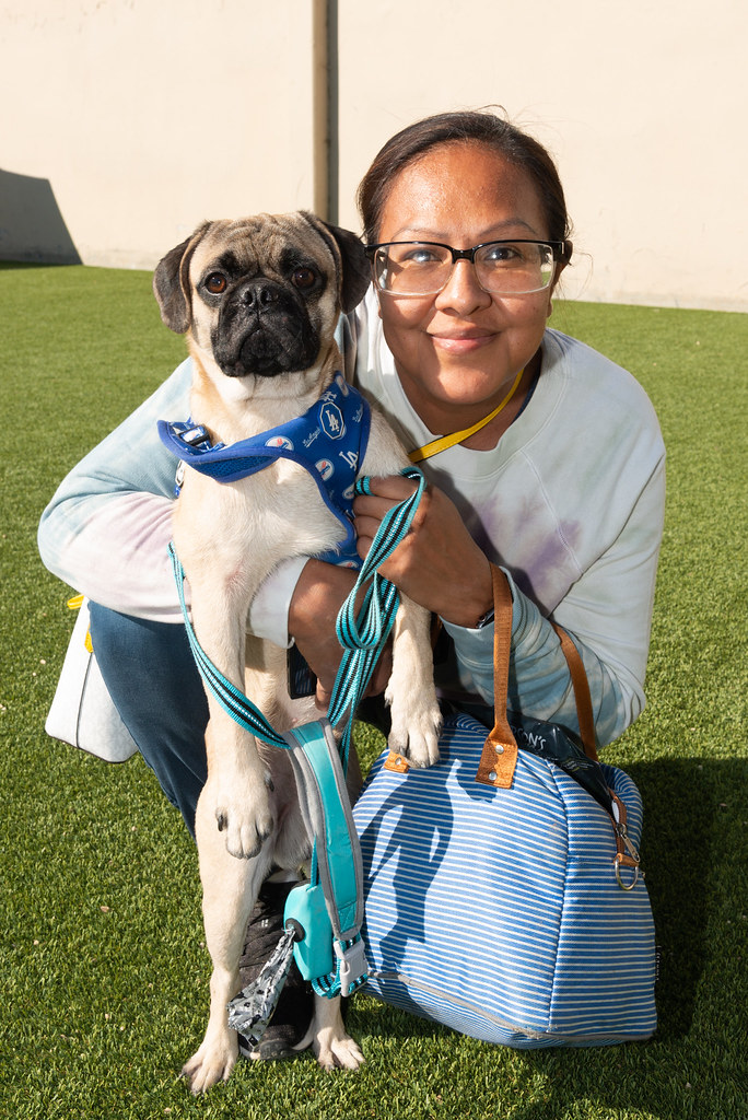 Ross Snyder Dog Park172 Curren Price Flickr