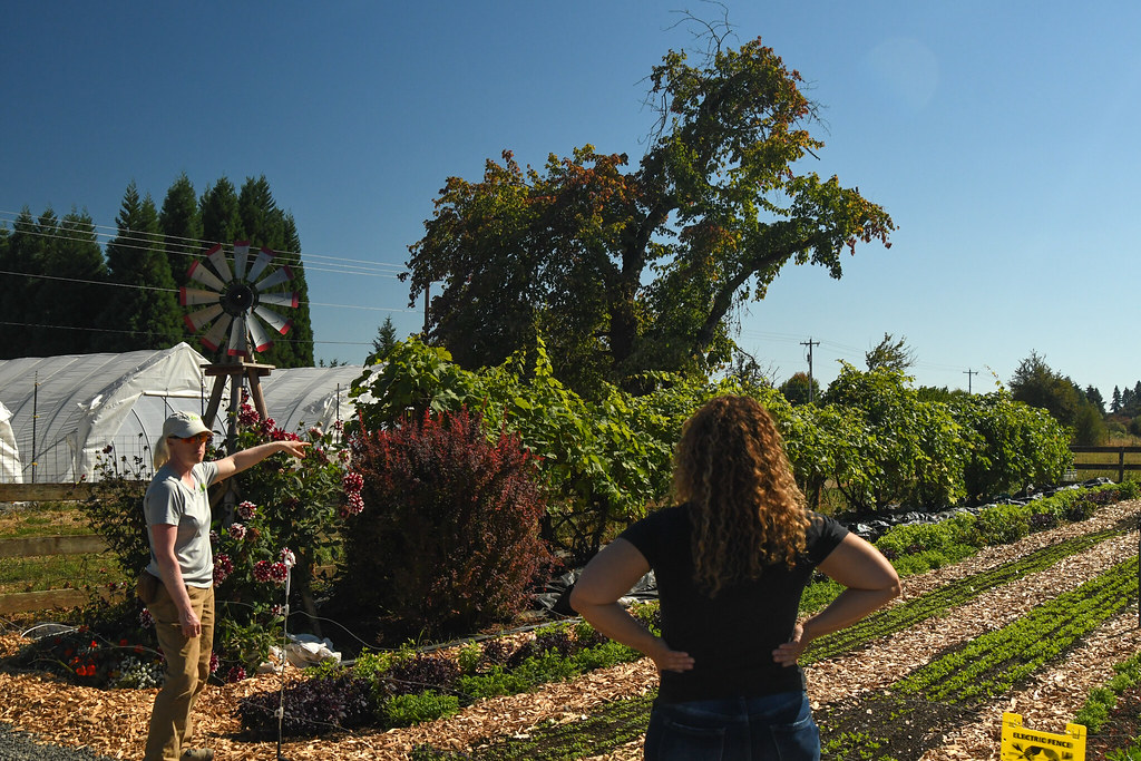 Mizuna Gardens St. Helens, Oregon Danielle Smith worked fo… Flickr