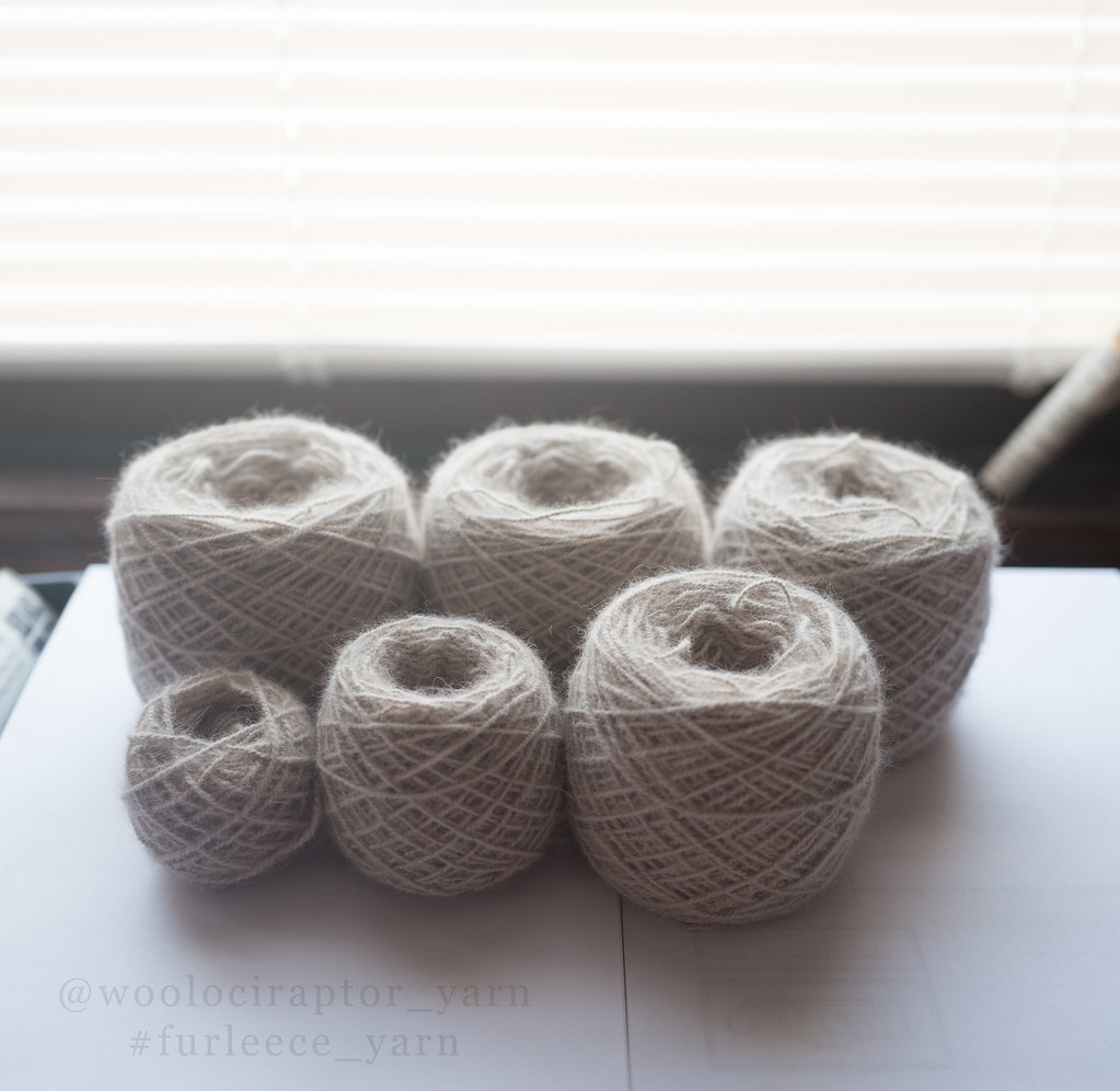 100 Siberian Husky Yarn 4 Ella Jason Syverson Flickr