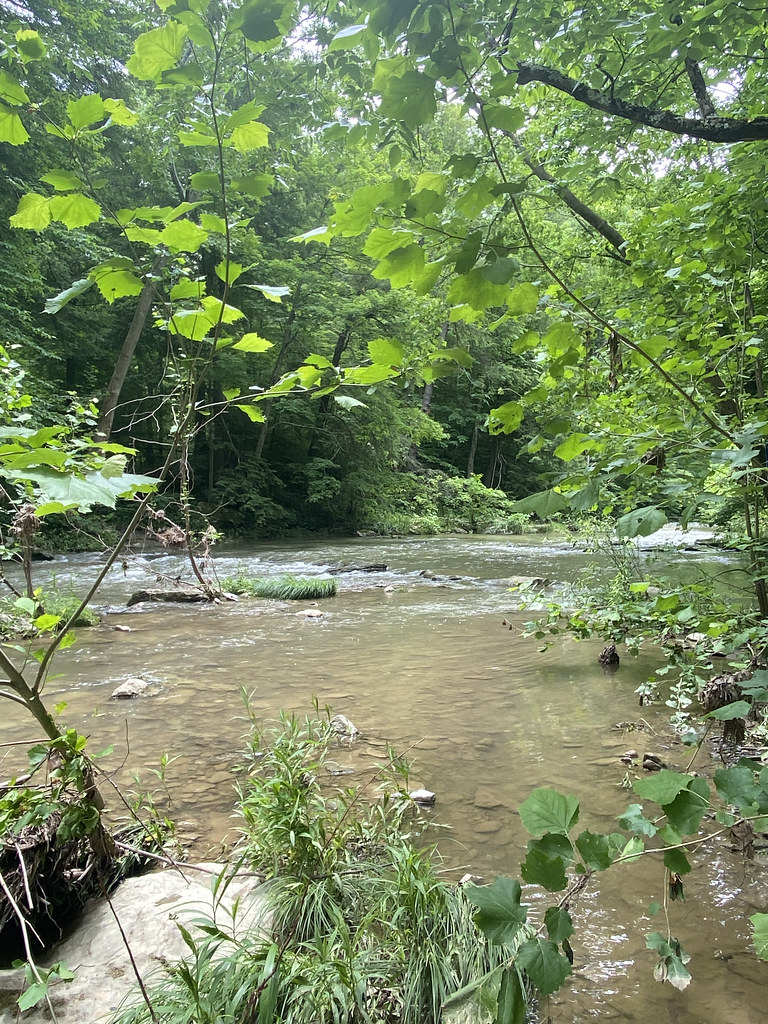 IMG_5981 Belmont County Flickr