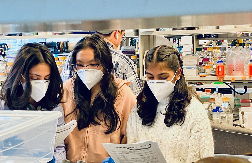 IMG_4692 Donnelly Centre Flickr