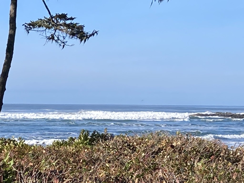 OR Yachats Ocean Road State Park scott185 (the original) Flickr