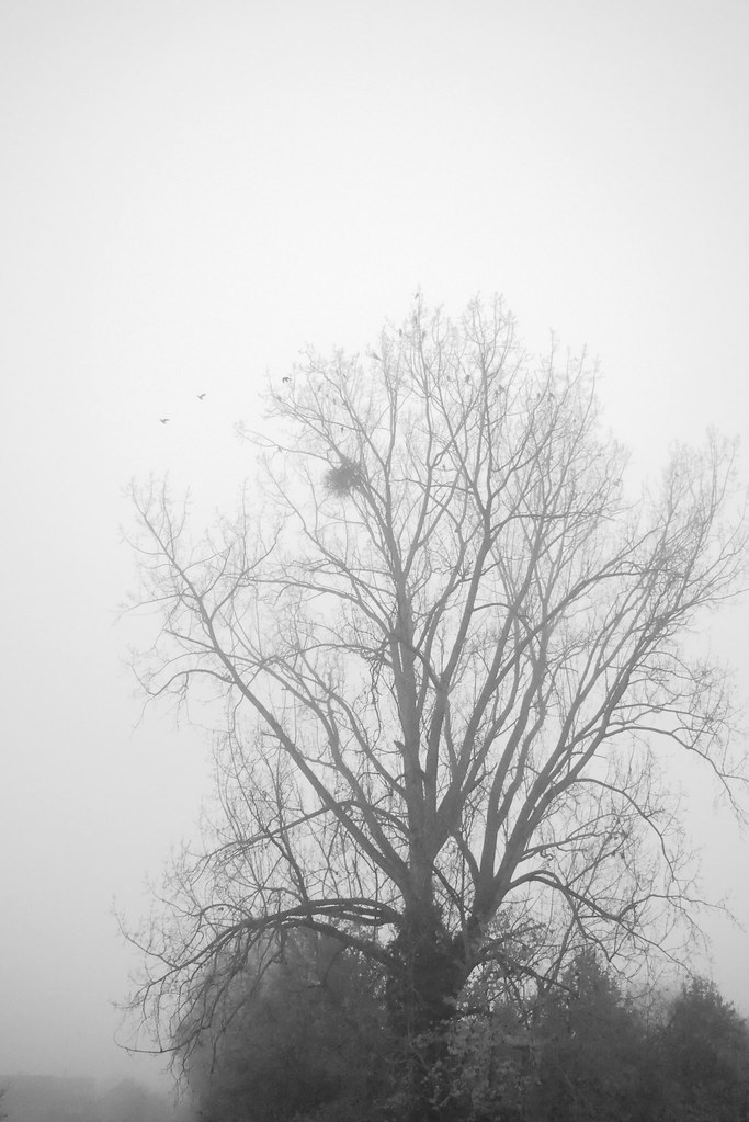 Untitled Dirk Kemps Flickr