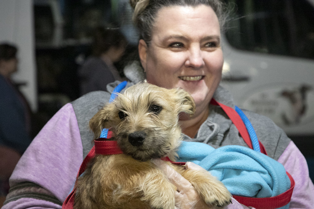 RJ RescueArrivalOffloading Nov 28, 2022 National Mill Dog Rescue