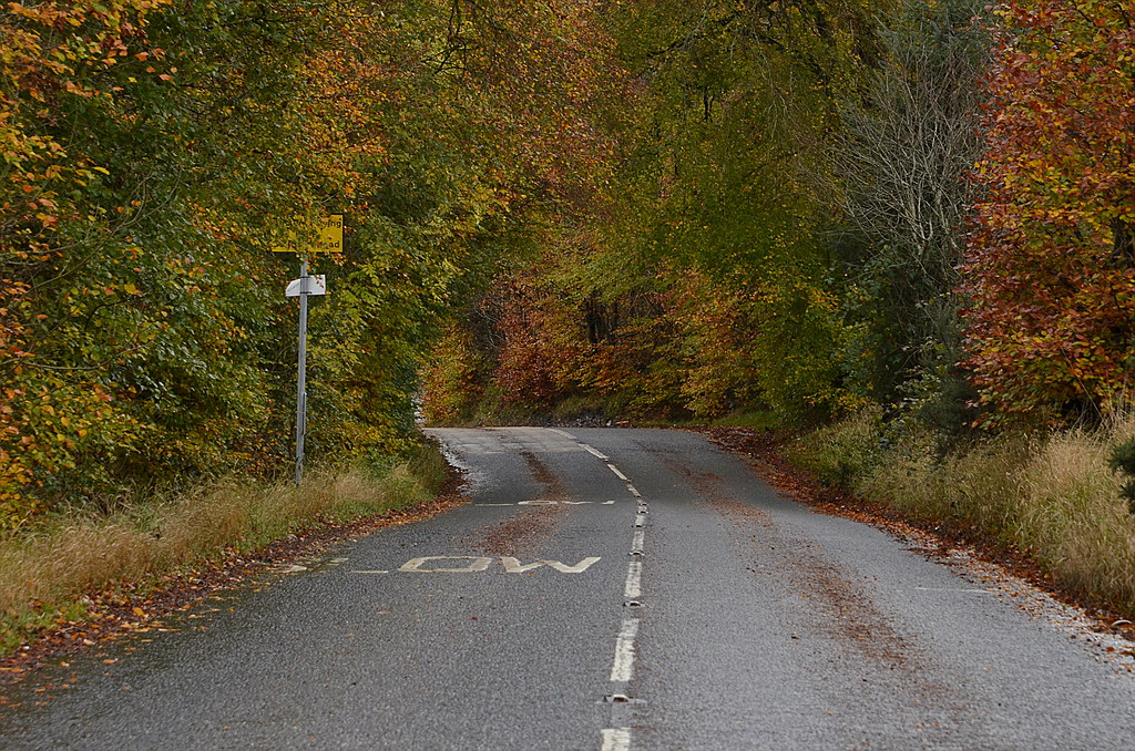 Autumn Laighlyoch Brae Newhousemill Road Blantyre James Brown Flickr