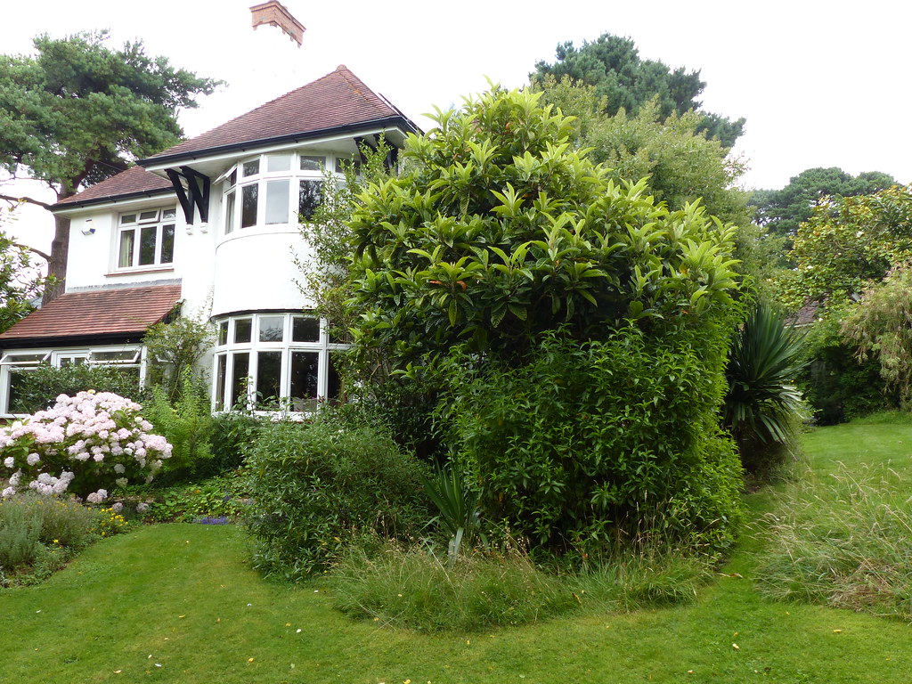 P1220148 21 Beechwood Garden August 2021 Jeff Collman Flickr