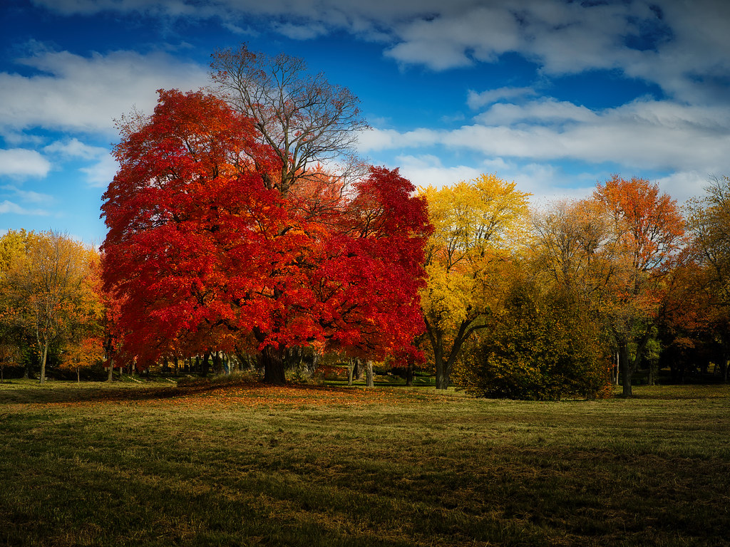 October 2022 Montreal Gilles Quenneville Flickr