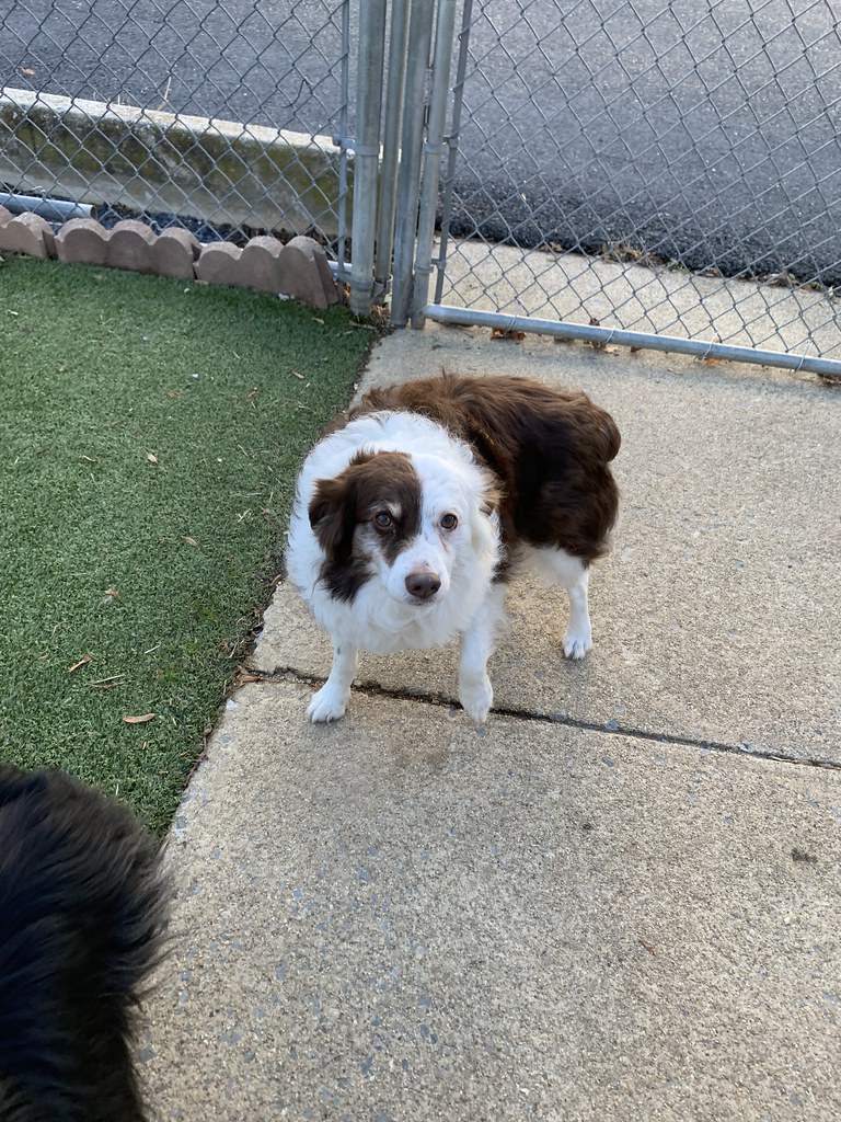 Greenlin West 12/01/2022 Greenlin West Flickr