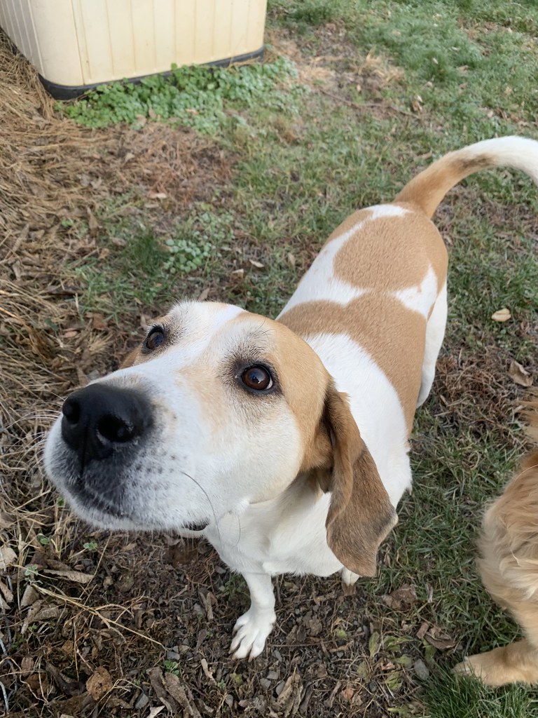 Greenlin West 12/02/2022 Greenlin West Flickr