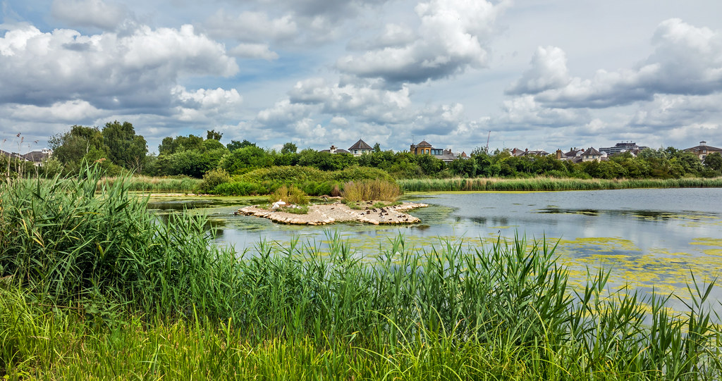 Lake + reed beds WWT London Wetland Centre, England Flickr