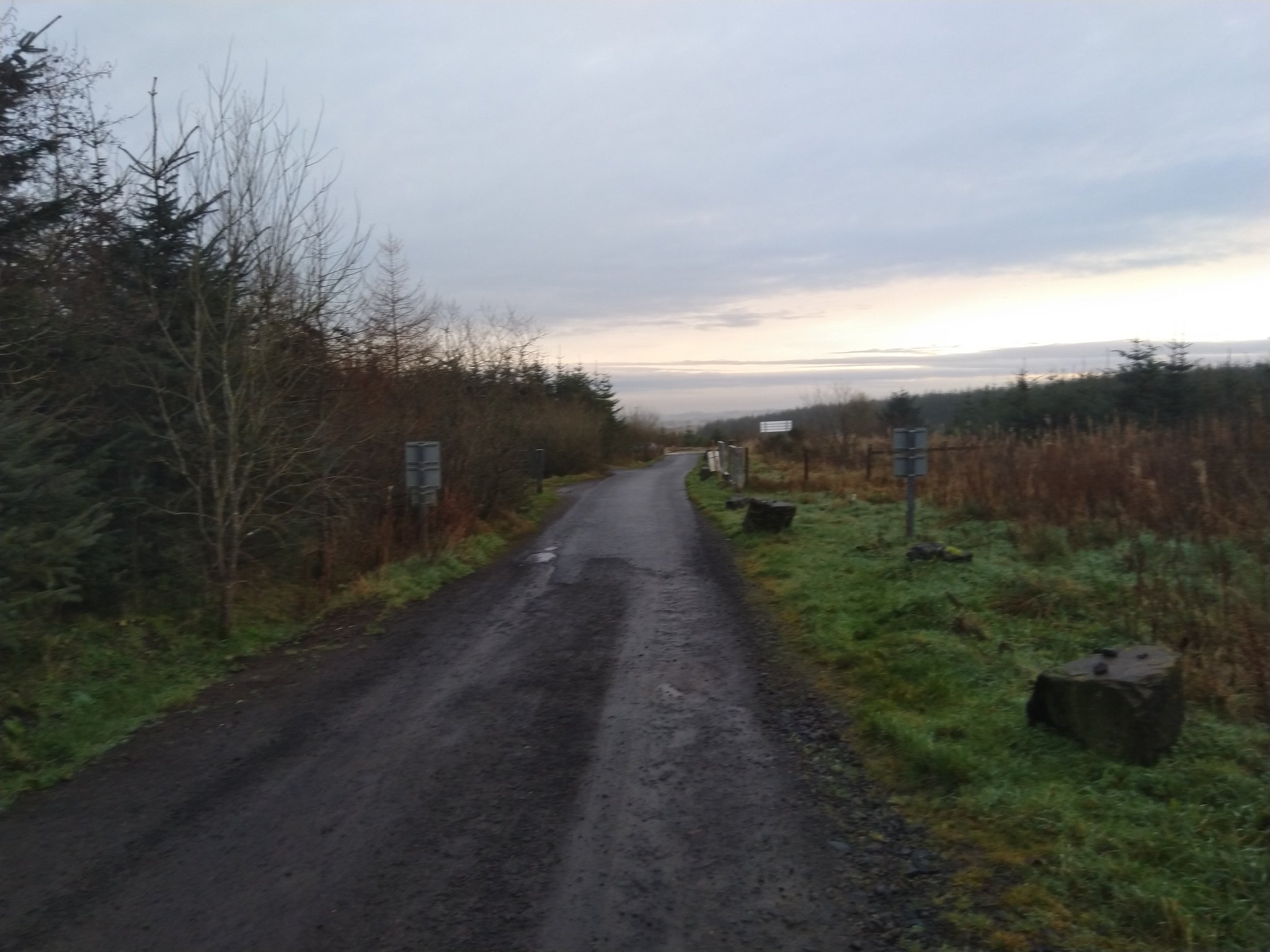 Walk Report Corse Hill from Ardochrig • Walkhighlands