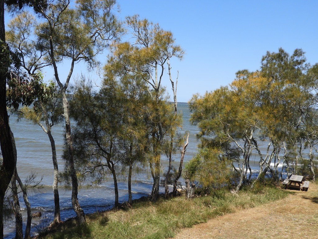 Coomba Aquatic Club David McDonald45 Flickr