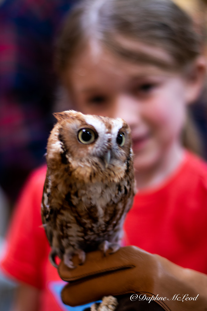 Wild Bird Unlimited with CLAWS December 3, 2022 Flickr