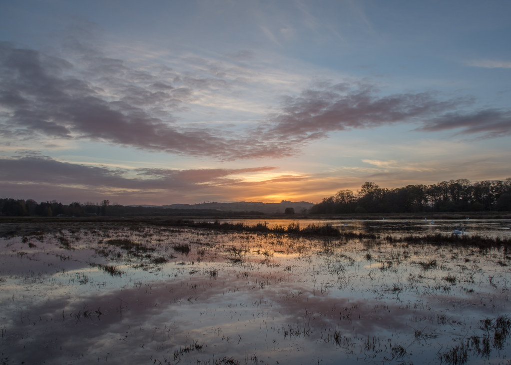 Sunset at the pond Wards Pond, RSPB Loch Lomond. David McCulloch