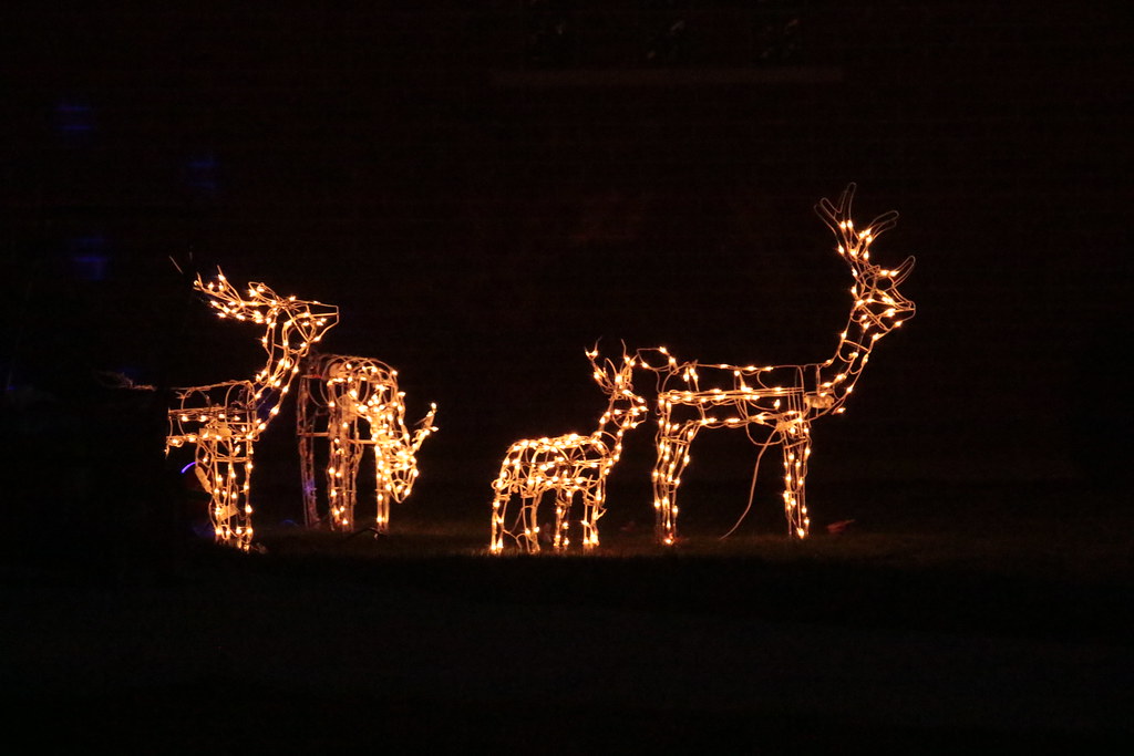 Holiday Lights Orland Park Birdie Girl Flickr