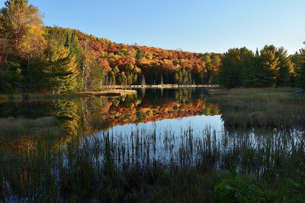 Laurentides, Qc ergonovelo Flickr