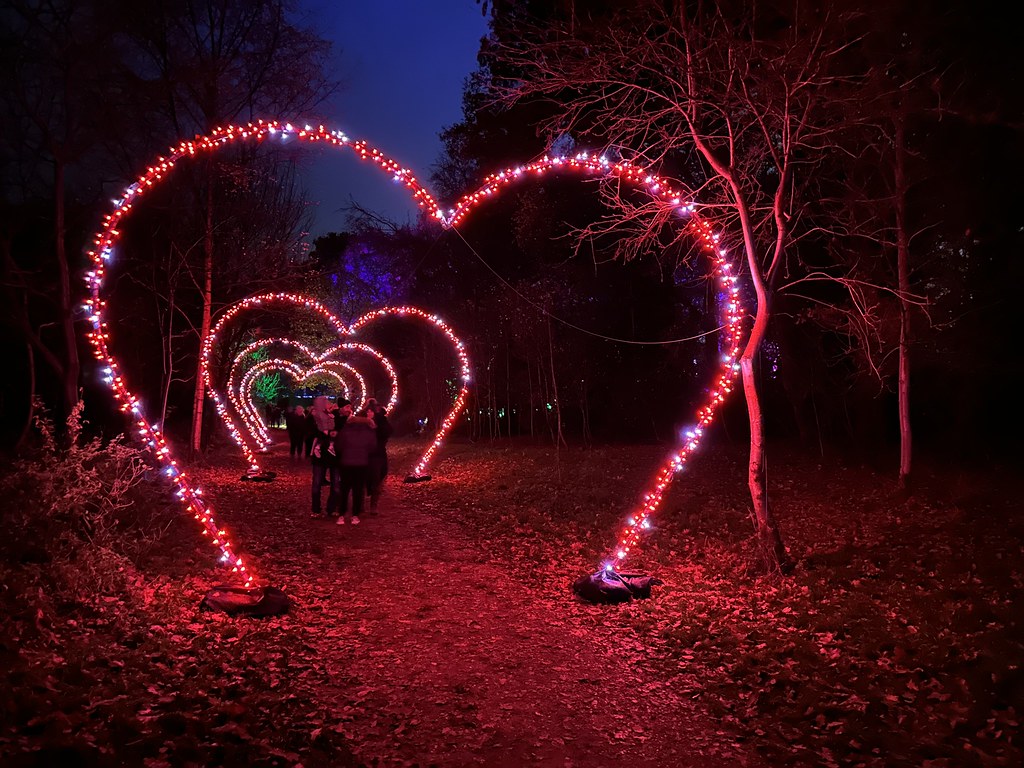 Hatfield House Christmas Lights Andrew Wilkinson Flickr
