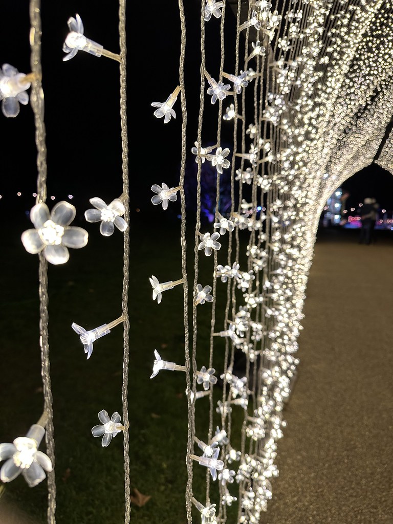 Hatfield House Christmas Lights Andrew Wilkinson Flickr