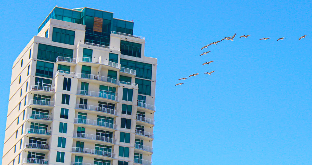 Giso Vacation Rentals ClkGT on Instagram Caeleb Kerr Flickr