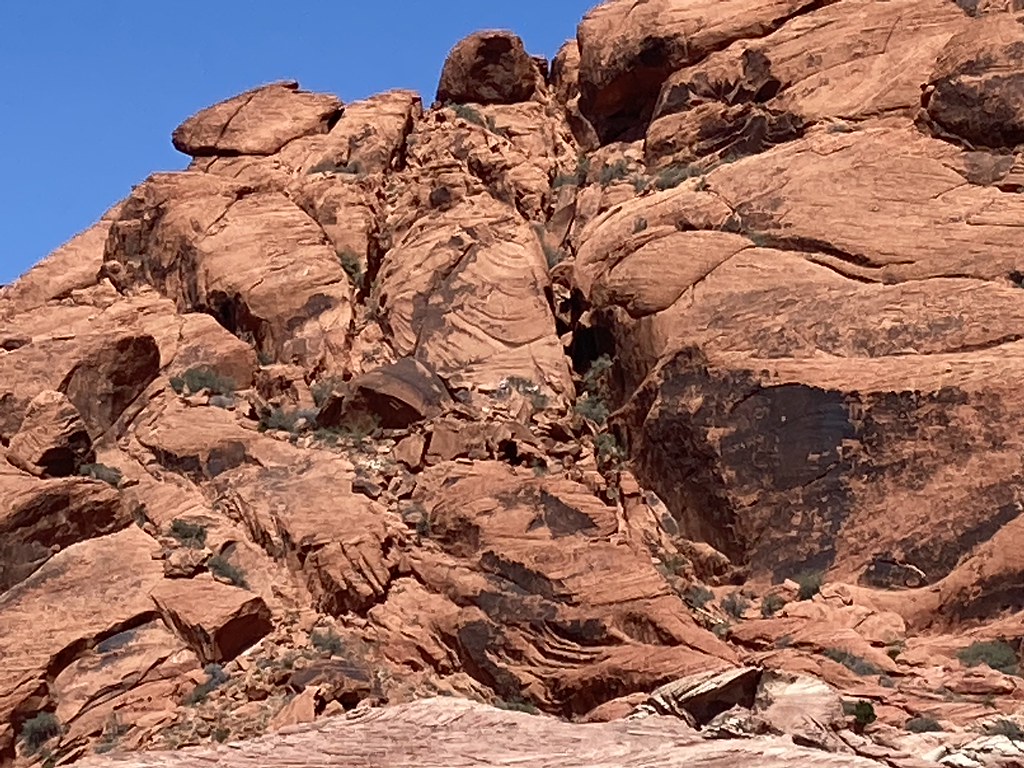 IMG_0895 Sally Franklin Flickr