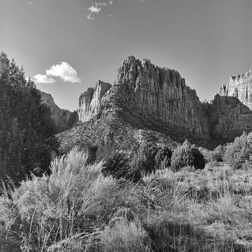 Maxwell Park, Hildale, Utah Shot with Rolleiflex MXEVS Flickr