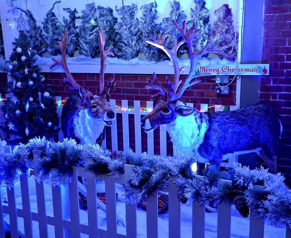 Santa Event ELR 2022 The Santa Event at the East Lancashir… Flickr