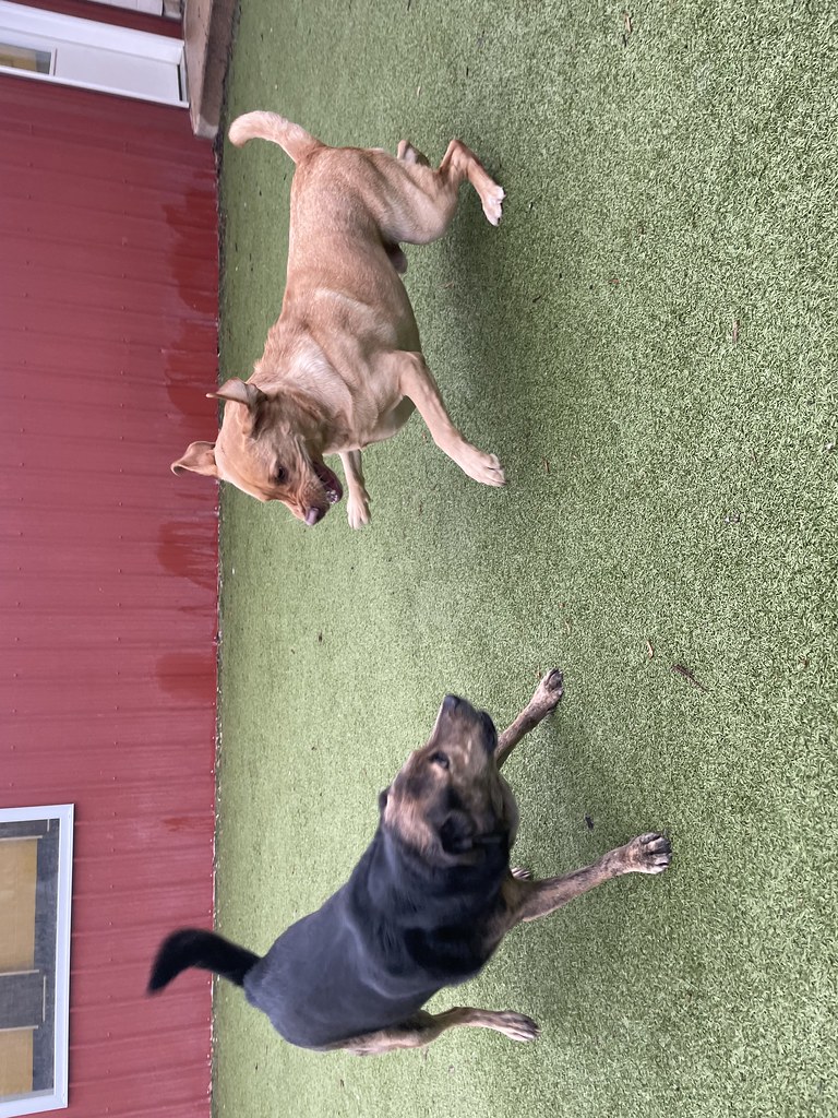 Untitled Greenlin West Flickr