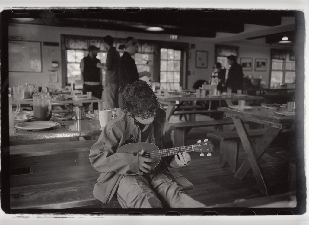 cardiganukulelev2 Robert Woolner Flickr