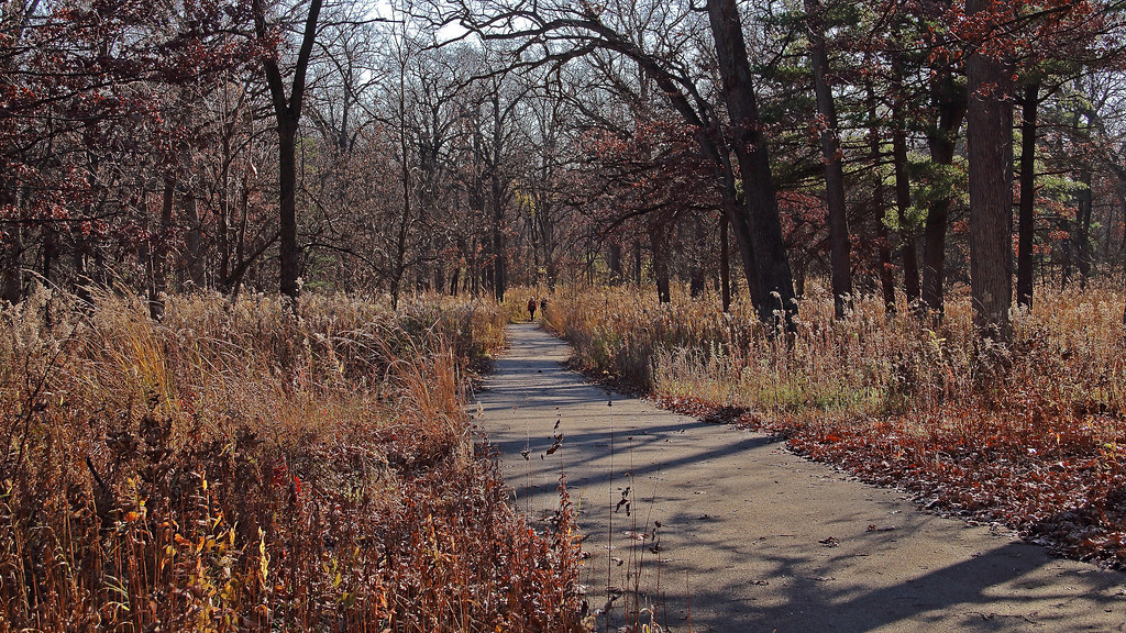 Enjoying the moment Taking in the wonderful weather Lyman … Flickr