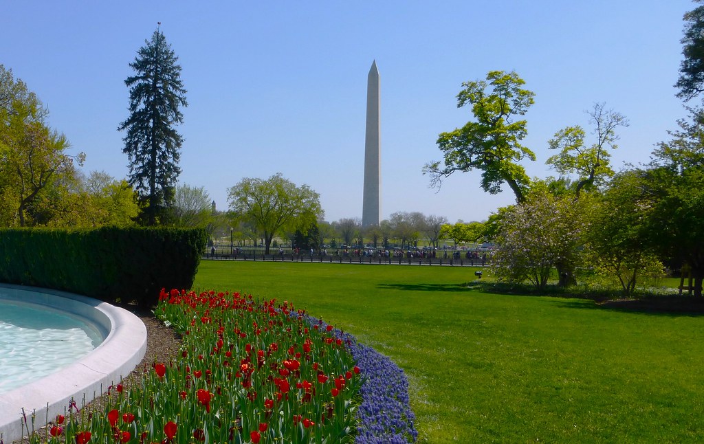 White House Lawn ┘Hama2000 Flickr