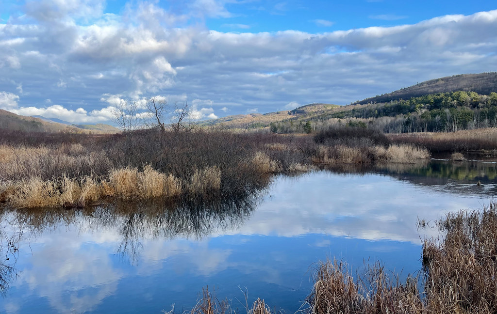 West Rutland Marsh West Rutland, Vermont Susan Elliott Flickr